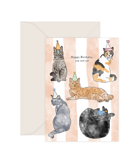 Cool Cat - Greeting Card (6 Pack)